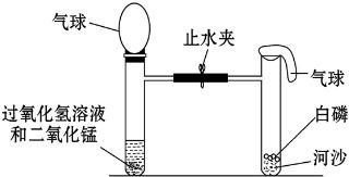 驗證質量守恒定律 氣體生成反應的設計實驗